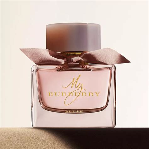 burberry perfume msds files|burberry perfume for women uk.